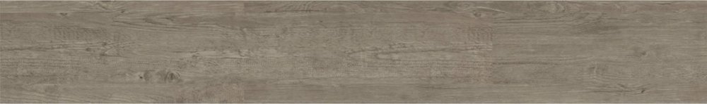 doga_standard_coriandolo