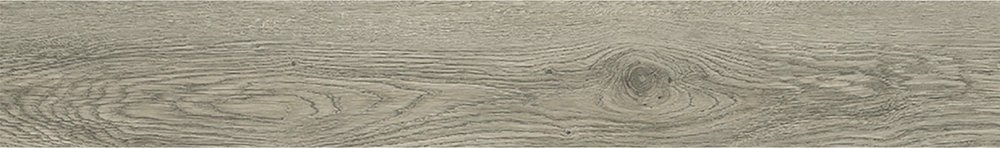 doga_standard_narciso