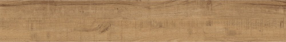 doga_standard_tulipano