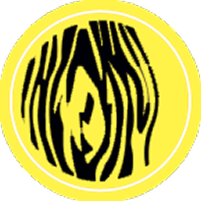 Finiture  altamente professionali